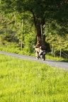 MG 8285