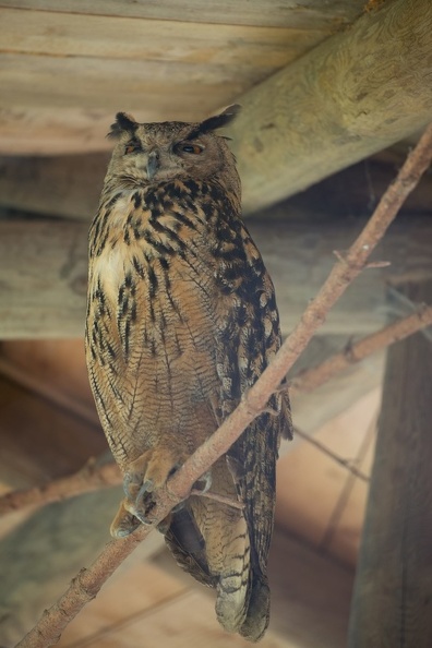 20130726-FOX 8725