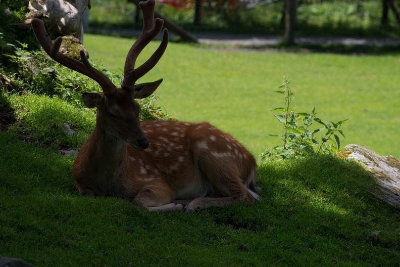 20130726-FOX 8750