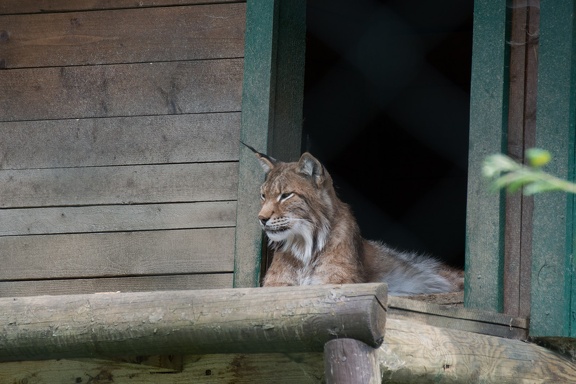 20130726-FOX 8785