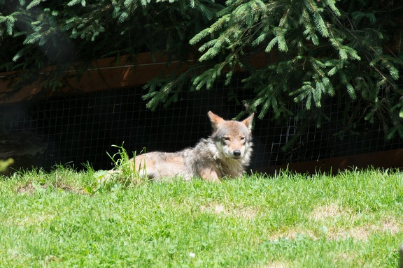 20130726-FOX 8802