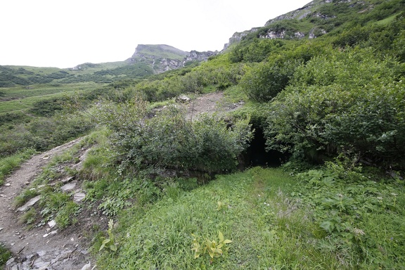  R6A8334