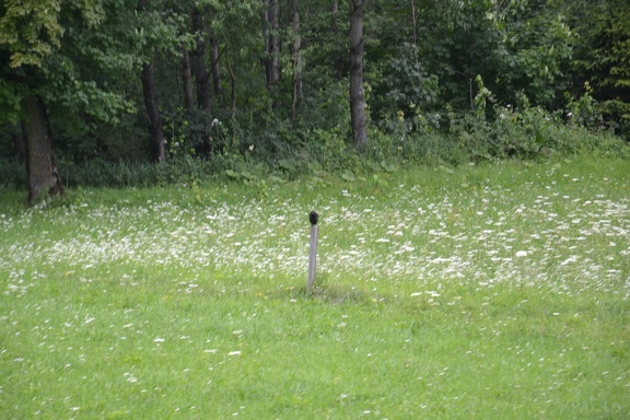 DSC 0047