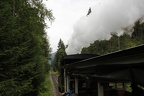 IMG 2253