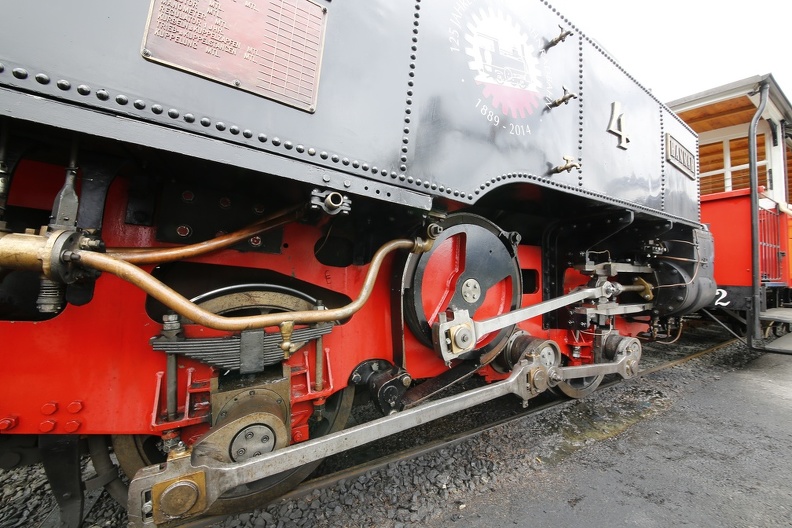 R6A4137