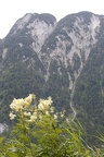 R6A4374-01