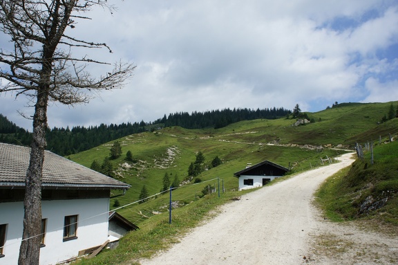 DSC05899