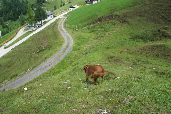 DSC05905