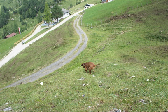 DSC05906