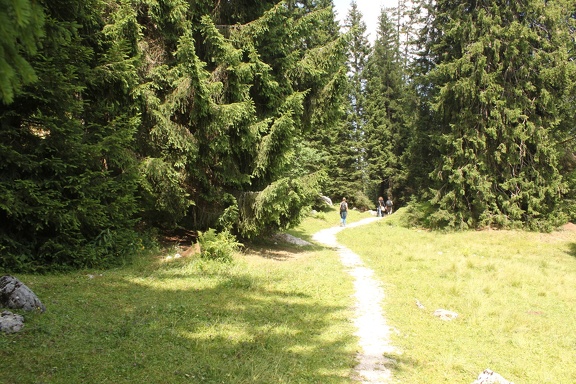 IMG 2406