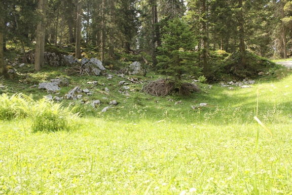 IMG 2415