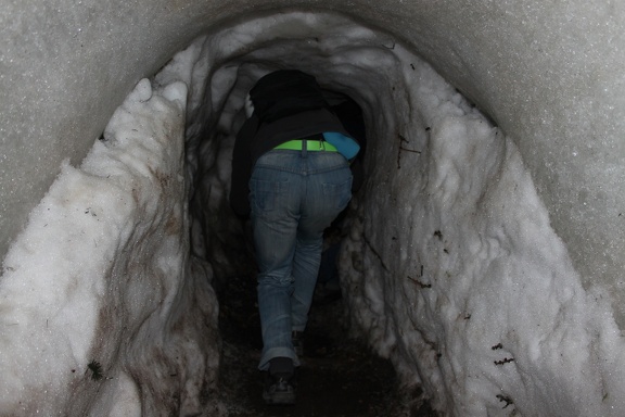 IMG 2461