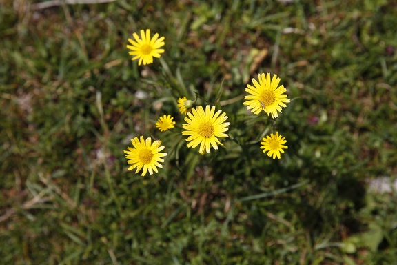 R6A5538