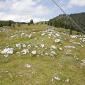 R6A5635