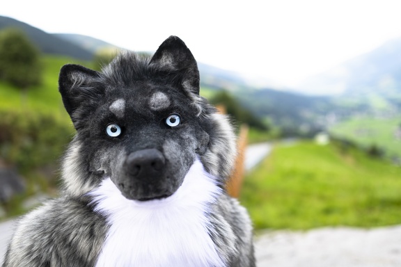 Lakeside Furs 2022 315