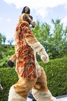 Lakeside Furs 2022 870