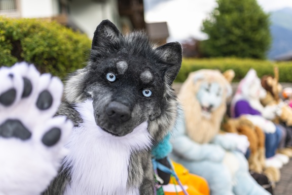 Lakeside Furs 2022 1114