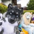 Lakeside Furs 2022 1114