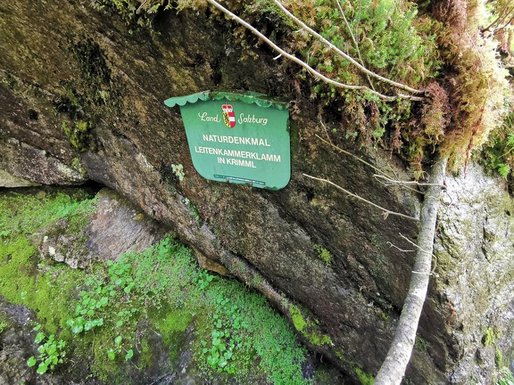 IMG 20220708 152021