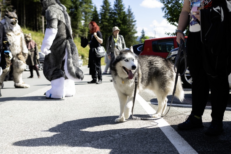 Lake Side Furs 2023 326