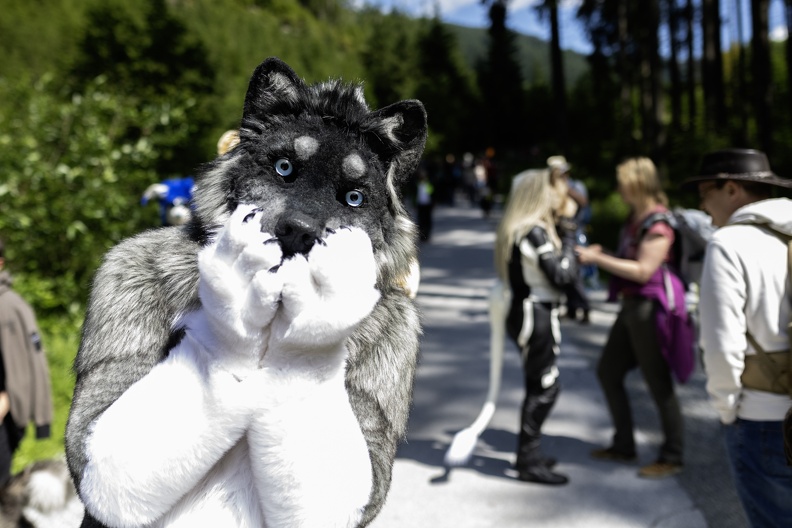 Lake Side Furs 2023 372