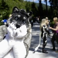 Lake Side Furs 2023 372