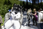 Lake Side Furs 2023 372