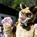 Lake Side Furs 2023 386