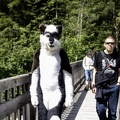 Lake Side Furs 2023 406