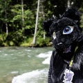 Lake Side Furs 2023 426
