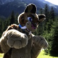 Lake Side Furs 2023 435