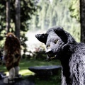 Lake Side Furs 2023 464