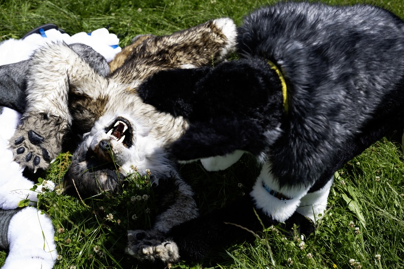Lake Side Furs 2023 1004.jpg