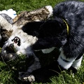 Lake Side Furs 2023 1004
