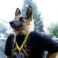 Lake Side Furs 2023 810