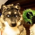 Lake Side Furs 2023 910